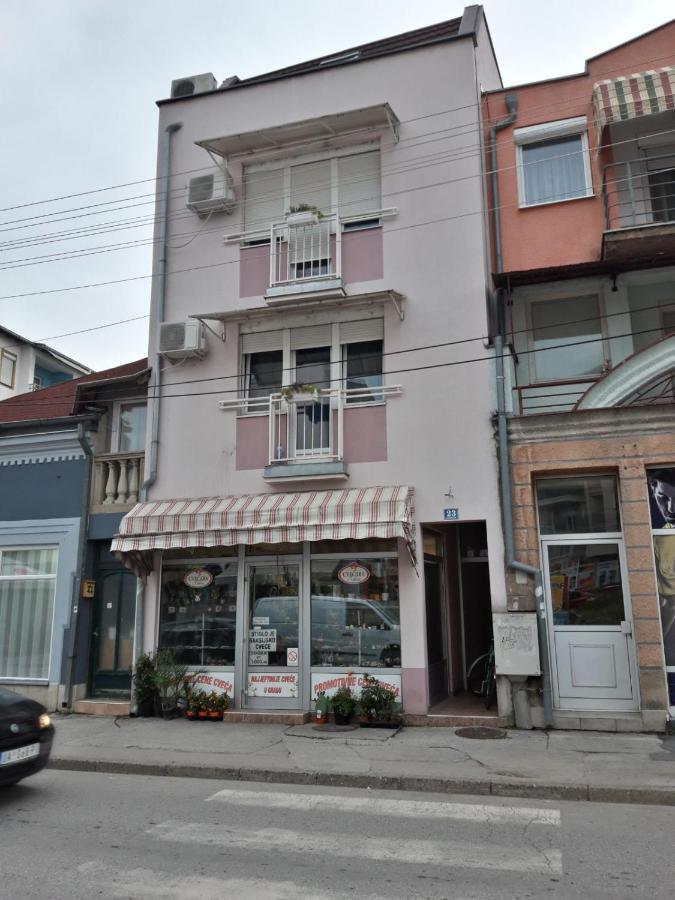 Apartments Tatjana Ягодина Екстериор снимка